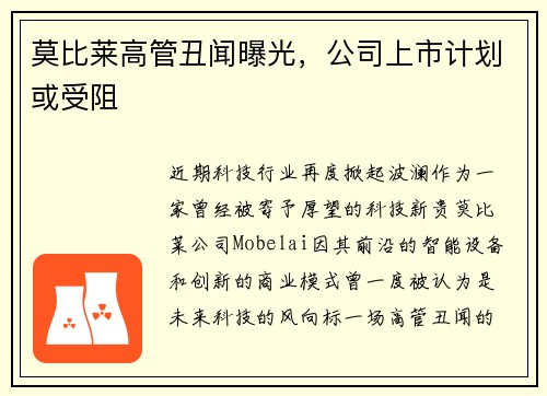 莫比莱高管丑闻曝光，公司上市计划或受阻